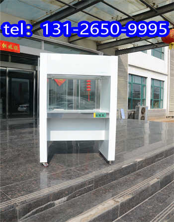 200*100*800潔凈工作臺 200*100*800潔凈工作臺